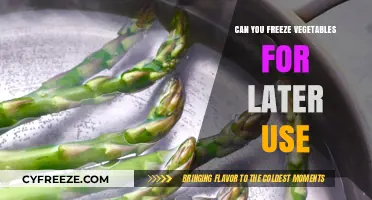 Freezing Vegetables: A Smart Way to Preserve Freshness for Later