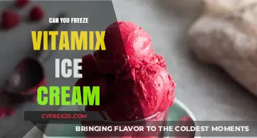 Blending Frozen Delights: Can You Freeze Vitamix Ice Cream?