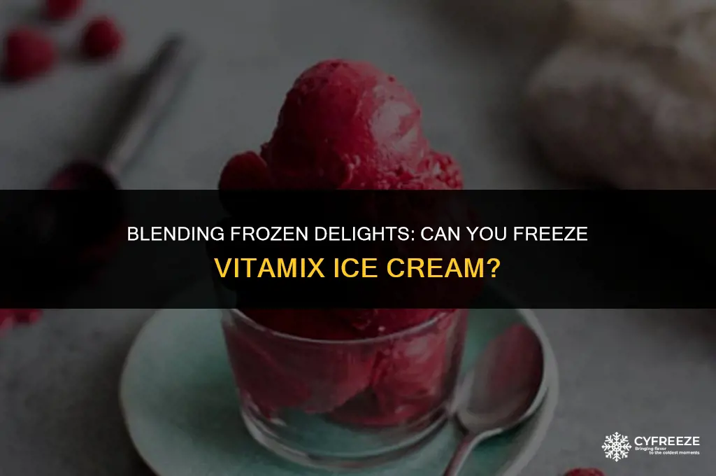 can you freeze vitamix ice cream