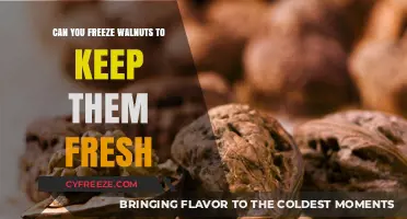 Preserving Perfection: The Ultimate Guide to Freezing Walnuts for Freshness