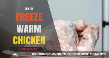 Safely Freezing Warm Chicken: Tips and Tricks