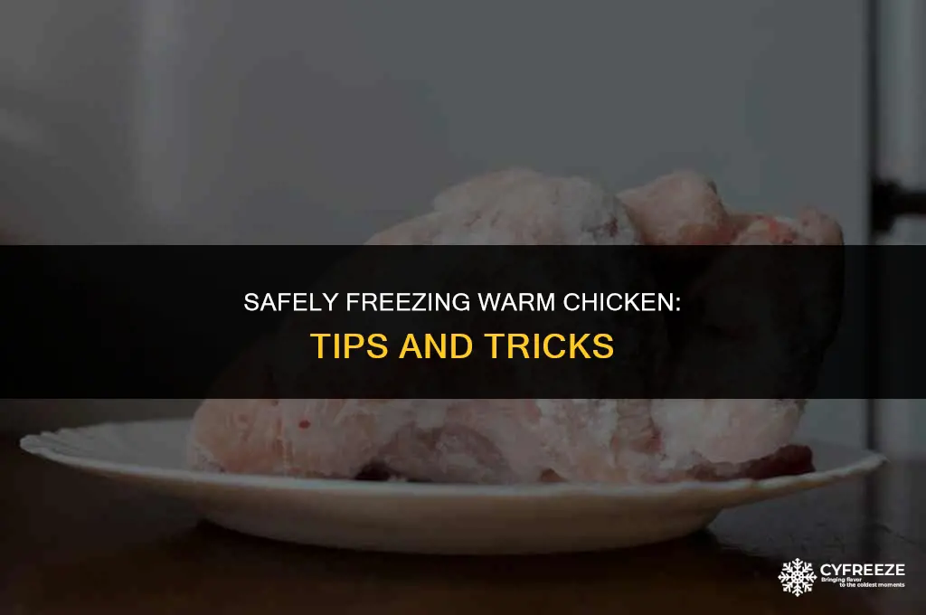 can you freeze warm chicken