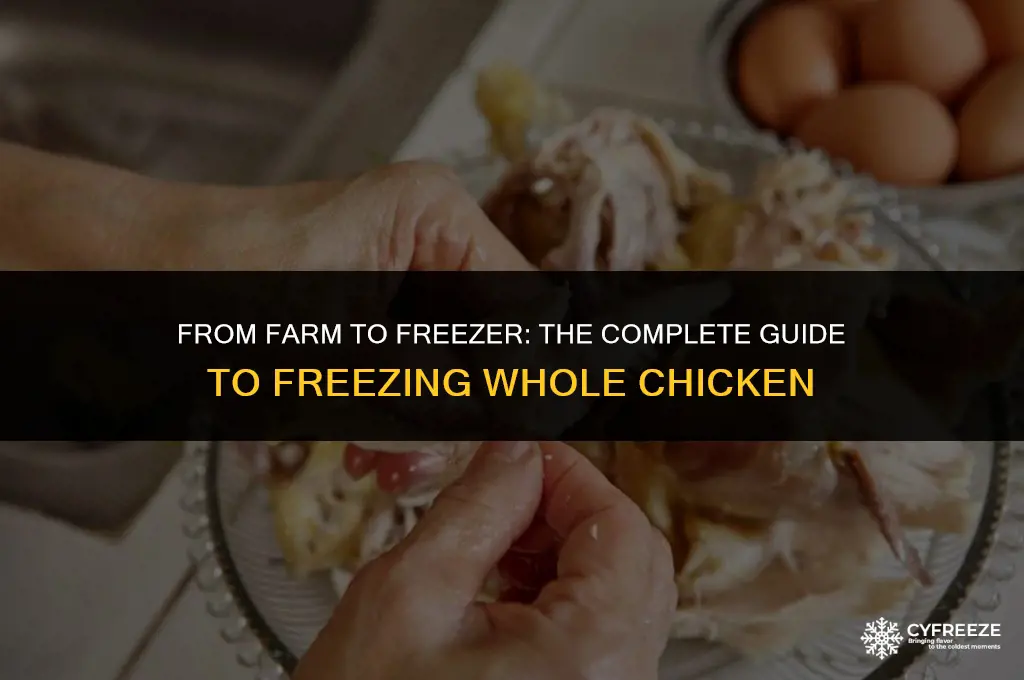 can you freeze whole chicken