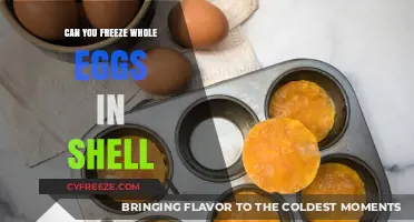 Freezing Whole Eggs in Shell: A Complete Guide and Tips