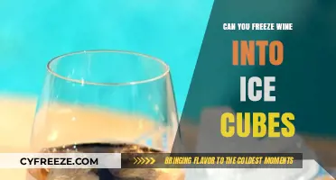 Chill Your Wine: The Art of Freezing Wine into Perfect Ice Cubes