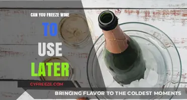 Freezing Wine: A Guide to Preserving Your Favorite Bottles