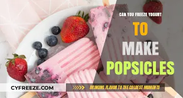 Yogurt Popsicles: A Healthy and Refreshing Summer Treat