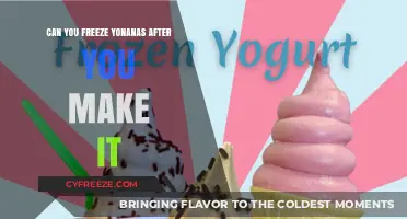 Yonanas Delight: Freezing Tips for Your Homemade Treat