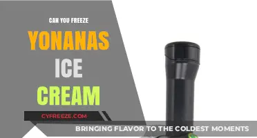 Sweet Treats: The Ultimate Guide to Freezing Yonanas Ice Cream