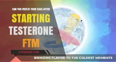 Freezing Eggs on T: Options for FTM Fertility Preservation