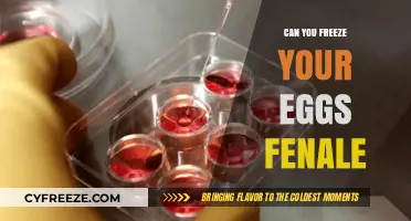 Freezing Your Eggs: A Female's Guide to Fertility Preservation Options