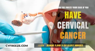 Cervical Cancer and Egg Freezing: Exploring Fertility Preservation Options