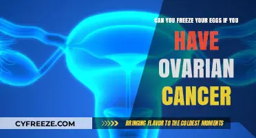 Egg Freezing and Ovarian Cancer: What Are Your Options?