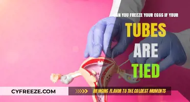 Egg Freezing After Tubal Ligation: Options for Future Fertility