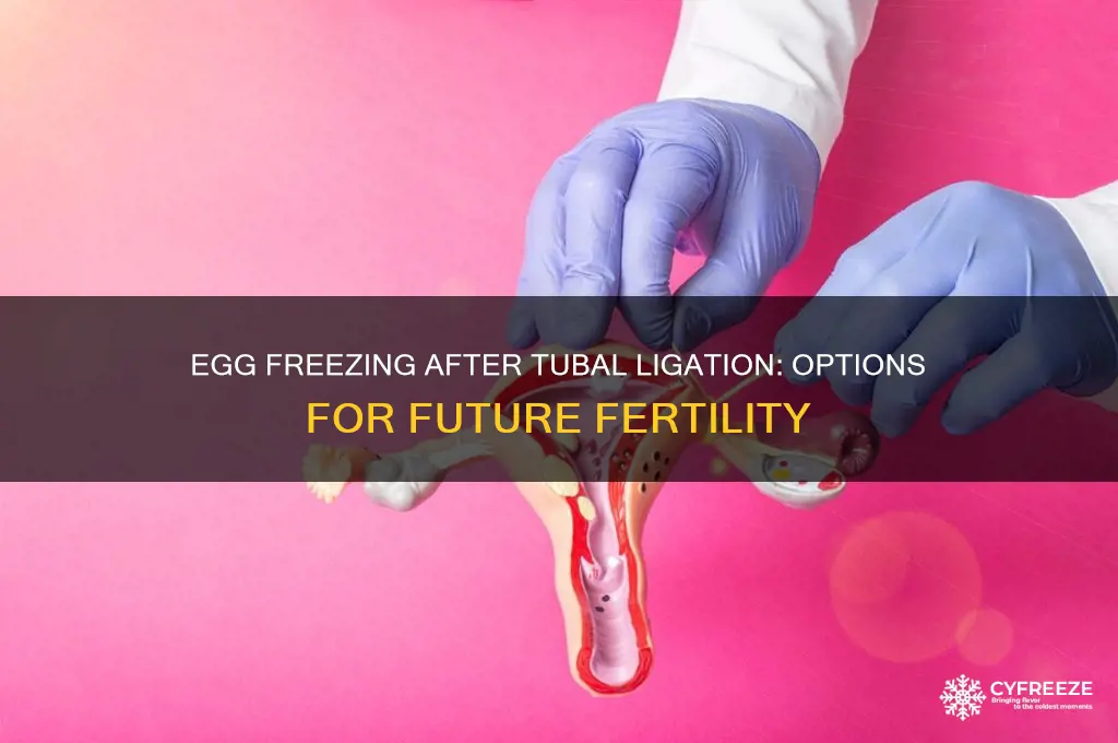 can you freeze your eggs if your tubes are tied