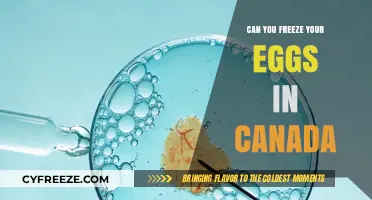 Egg Freezing in Canada: Options, Costs, and Success Rates Explained