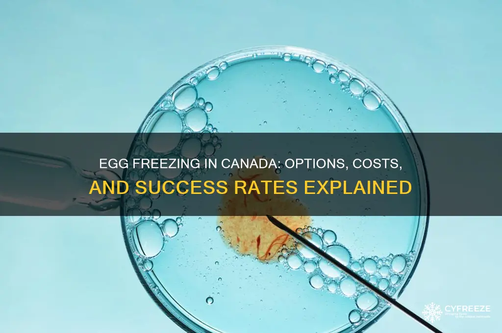 can you freeze your eggs in canada
