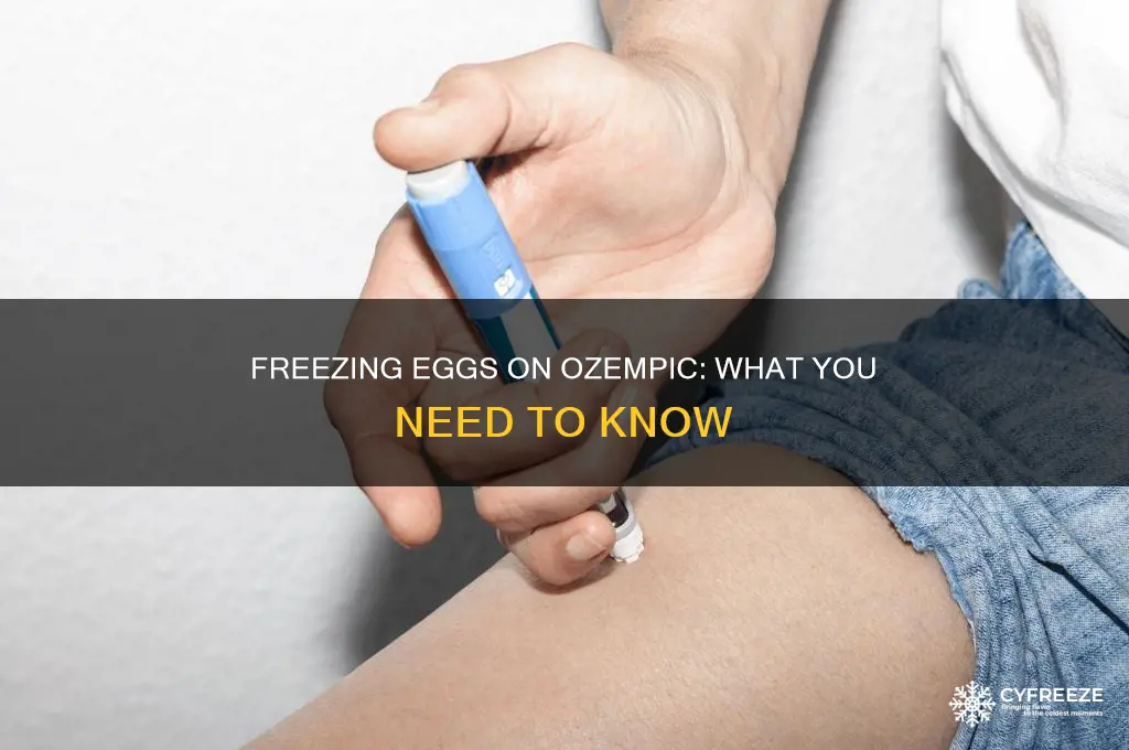 can you freeze your eggs while on ozempic