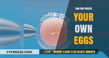 Freezing Your Own Eggs: A Guide to Preserving Fertility Options