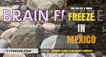 Brain Freeze in Mexico: Myth or Tropical Reality?