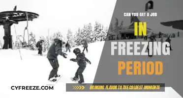 Securing Employment During the Freezing Period: Strategies for Job Seekers