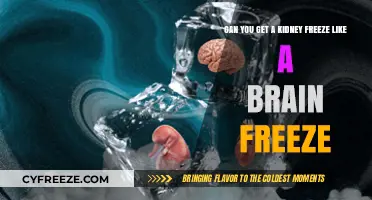 Kidney Freeze vs. Brain Freeze: Unraveling the Chilling Truth