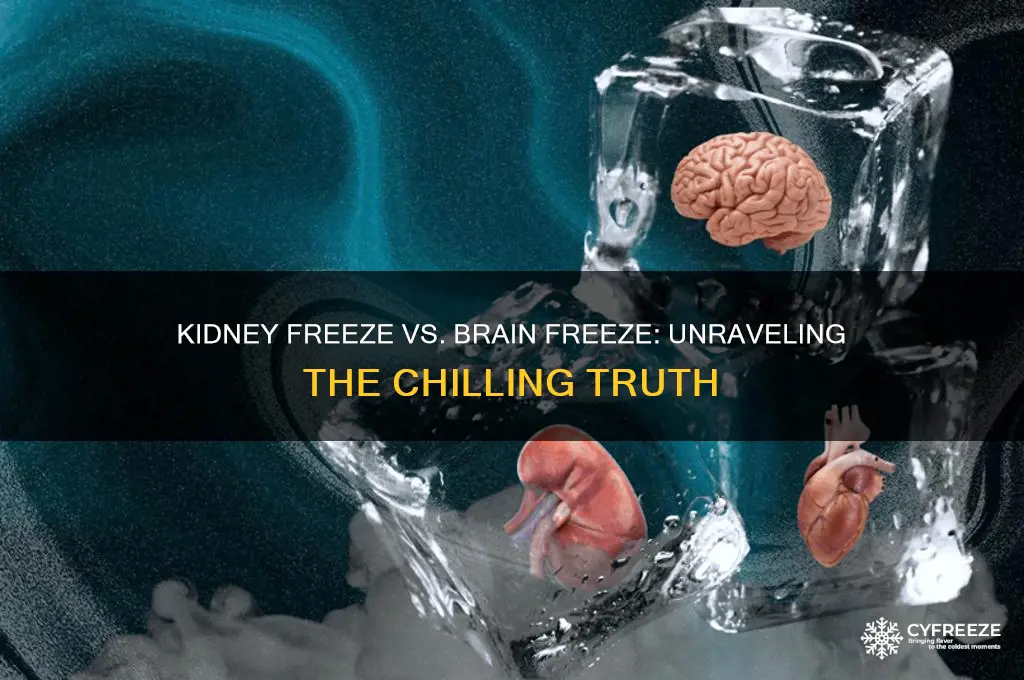 can you get a kidney freeze like a brain freeze