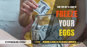 Egg Freezing Loans: Financing Options for Fertility Preservation Explained