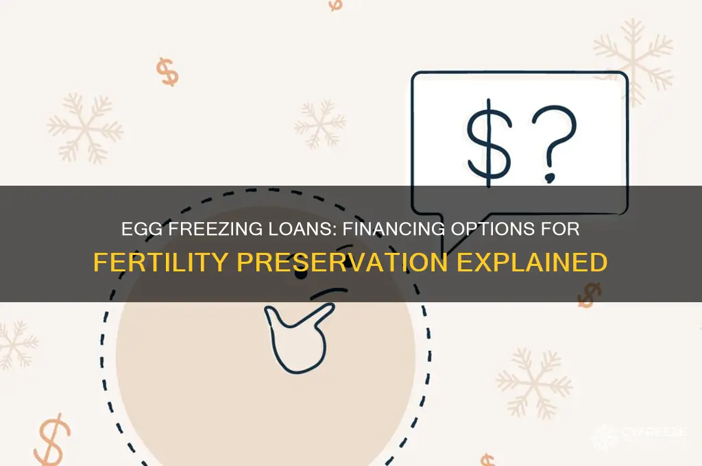 can you get a loan to freeze your eggs