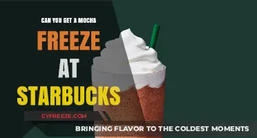 Starbucks Mocha Freeze: Availability, Customization, and Refreshing Alternatives Explained