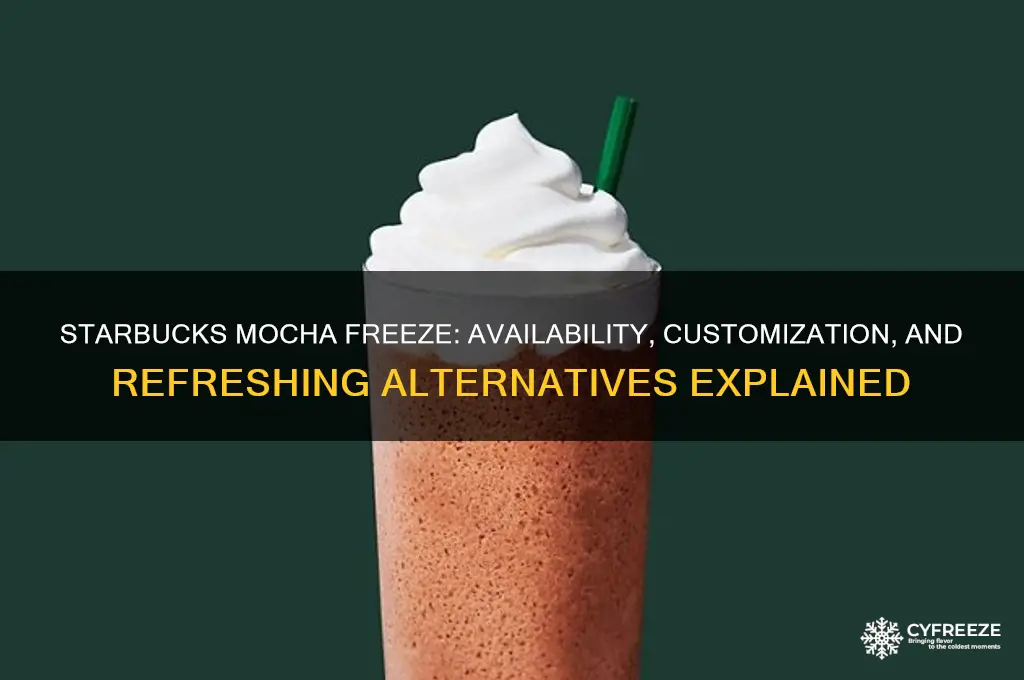 can you get a mocha freeze at starbucks