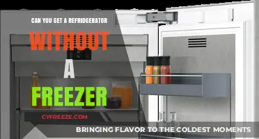 Refrigerators Without Freezers: Are They a Practical Choice?