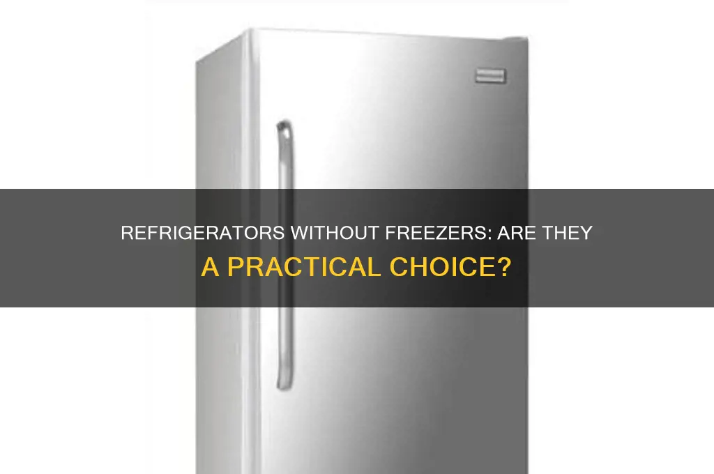 can you get a refridgerator without a freezer