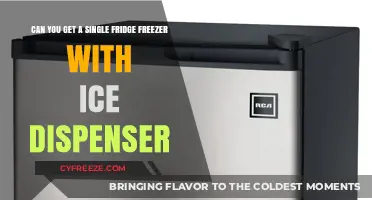 Chill Convenience: Single Fridge Freezer with Ice Dispenser?