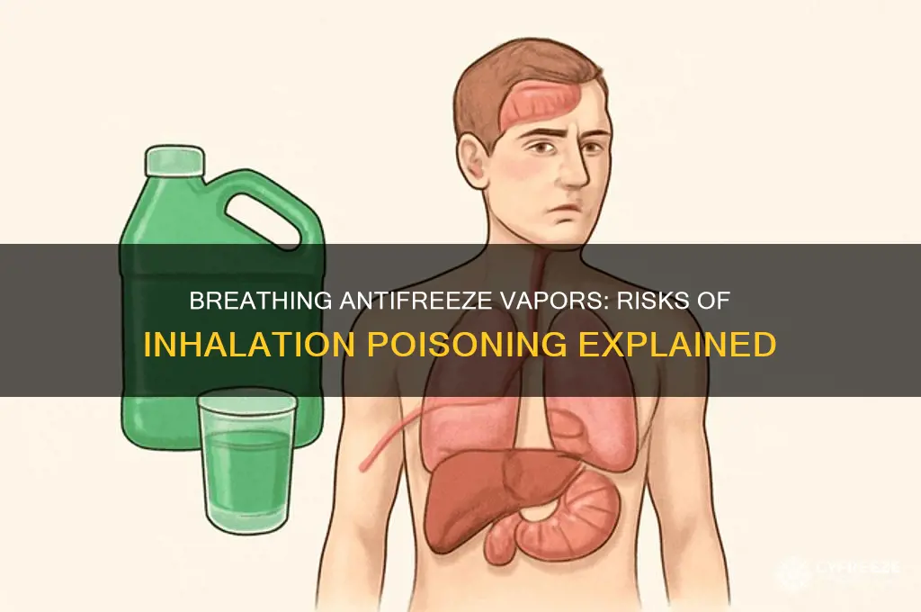 can you get anti freeze poisoning from breathing in vapors