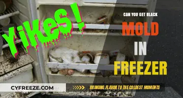 Preventing Black Mold Growth in Your Freezer: Tips and Tricks