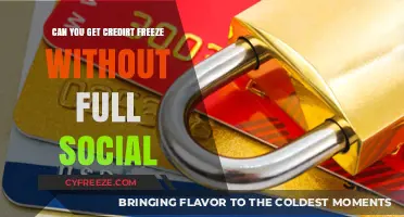 Credit Freeze Without Full Social: Is It Possible and How?