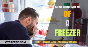 Eliminating Fish Odor: Effective Ways to Deodorize Your Freezer