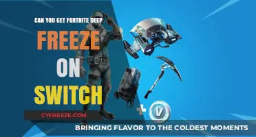 Fortnite Deep Freeze Bundle Availability on Nintendo Switch Explained