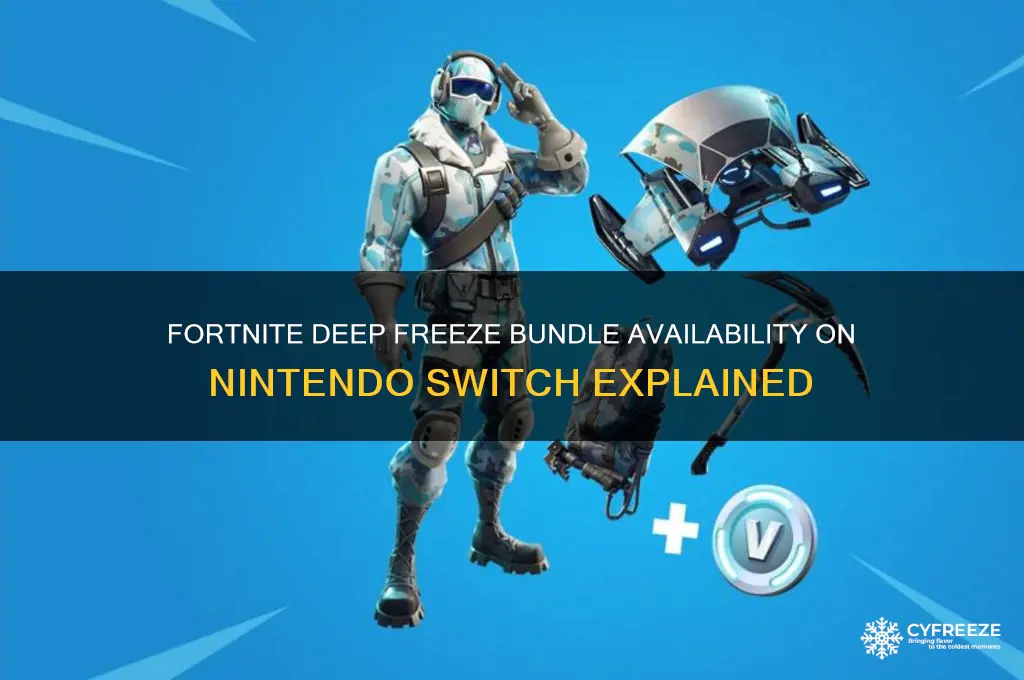 can you get fortnite deep freeze on switch