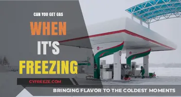 Freezing Temps and Fuel: Can You Still Get Gas in Winter?