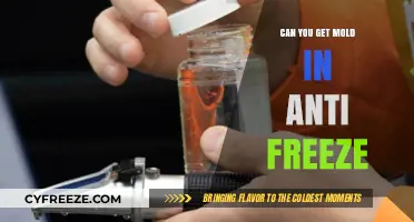 Can Mold Grow in Antifreeze? Uncovering the Truth and Risks