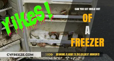 Effective Ways to Remove Mold from Your Freezer Safely