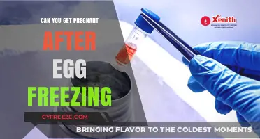 Pregnancy After Egg Freezing: Possibilities, Success Rates, and Real Stories