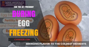 Pregnancy Possibilities: Can You Conceive During the Egg Freezing Process?