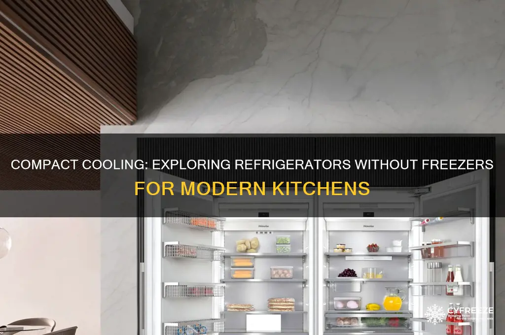 can you get refrigerator without freezer