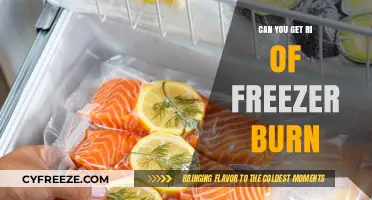 Preventing and Fixing Freezer Burn: Tips to Save Your Frozen Food