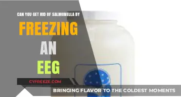 Freezing EEGs: Does It Eliminate Salmonella Contamination Effectively?