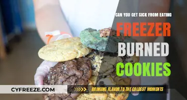 Freezer Burned Cookies: Safe to Eat or Health Risk?