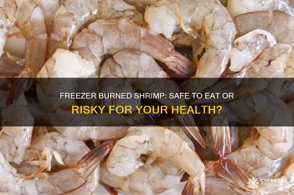 can you get sick from eating freezer burned shrimp